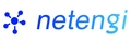 NetEngi